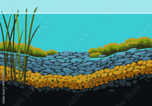 Illustrative cross-section of a wetland regeneration zone. Layers of gravel, moss, and reeds showcase a natural ecosystem. Vibrant colors and clear composition for commercial use.