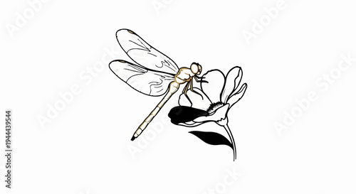 Delicate dragonfly with outstretched wings rests on a blooming flower