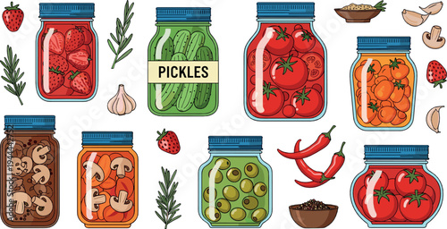 Homemade preserved food vector set with pickles, tomatoes, mushrooms, olives and spices in glass jars rustic kitchen illustration