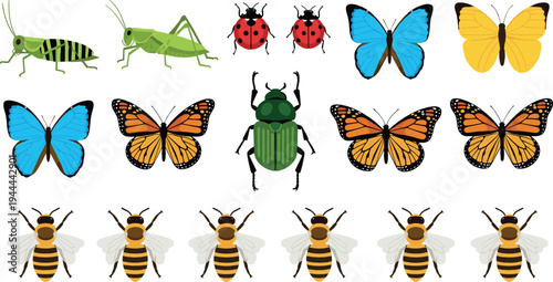 Insects Collection with Butterflies, Bees, Ladybugs, Grasshoppers and Beetle Detailed Vector Illustration Set