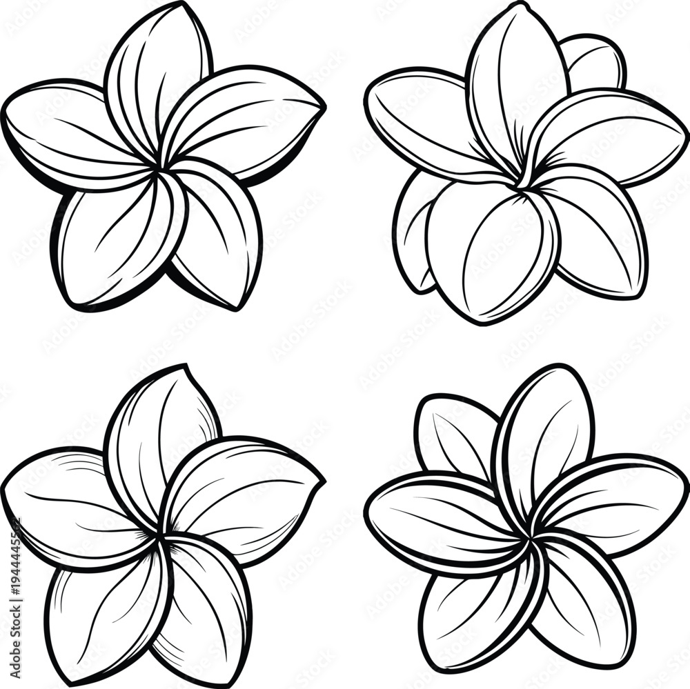 Obraz premium Plumeria flowers in black line art style on white background for decoration