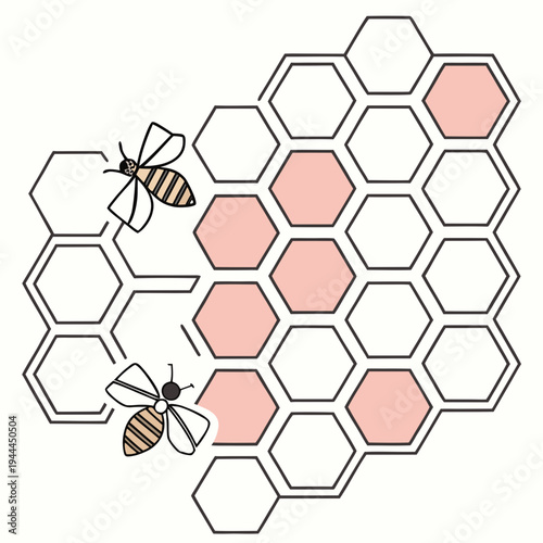 Colorful of bees on a honeycomb insects apiary