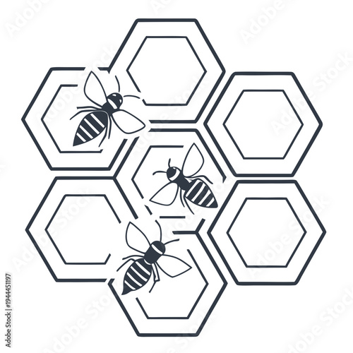 Honeycomb with bees insect hexagons biology