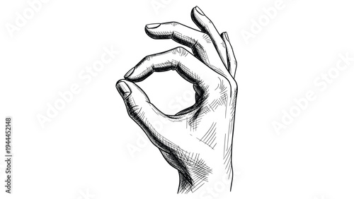 Detailed black and white sketch of a human hand making the okay sign with the index finger and thumb touching.