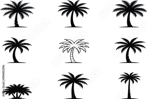 Palm tree silhouettes collection set, tropical coconut palm icons isolated on white background, summer beach island nature vector illustration bundle for travel and design