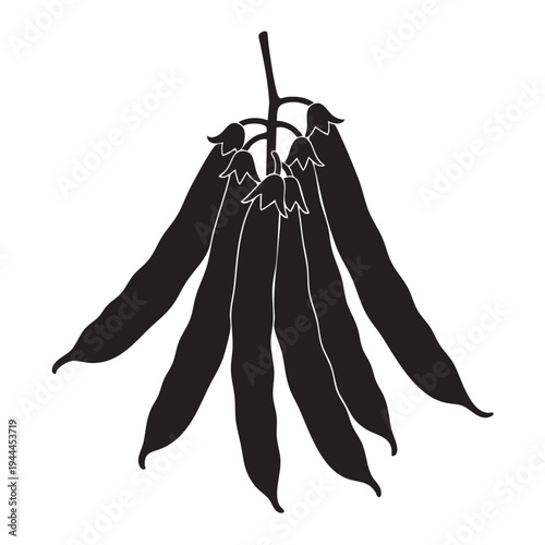 Black silhouette of green pea pods vector illustration isolated on white background fresh legumes healthy eating organic vegetable gardening harvest healthy food ingredient plant produce