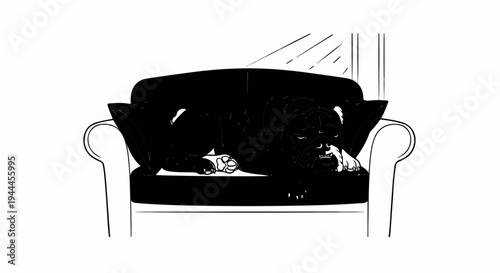 A black dog snoozes comfortably on a plush sofa, bathed in light