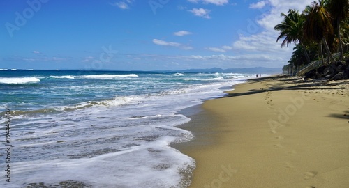 Secluded sandy caribbean beach , Cabarete, Dominican Republic