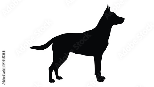 Detailed analysis of a standing dog silhouette with keywords and descriptions