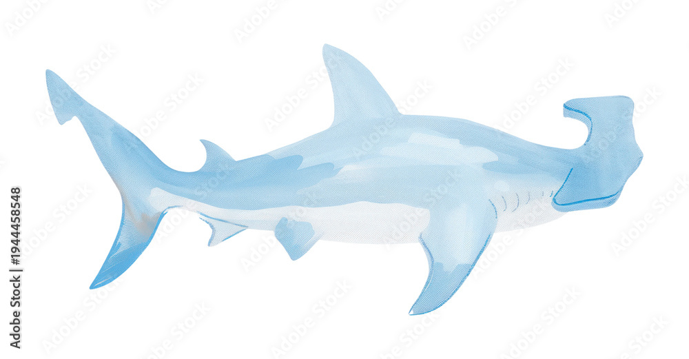 Fototapeta premium PNG Cute hammerhead shark animal illustration stylized.