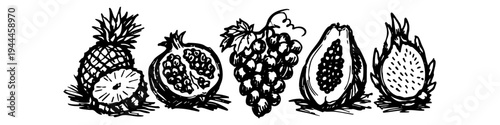 Hand-drawn set of fruit illustrations in a sketchy black ink style, featuring pineapple, pomegranate, grapes, papaya, and dragon fruit on a white background.