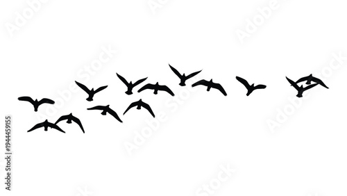 A stunning flock of birds in flight against a clean white background, showcasing nature's beauty and freedom