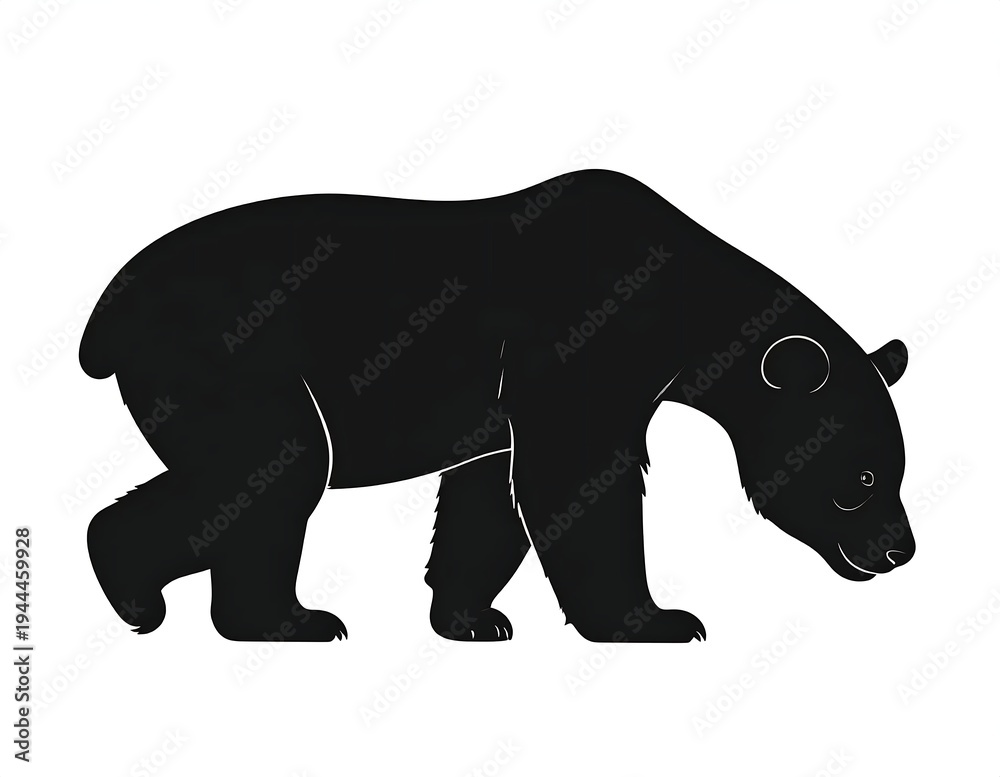 Fototapeta premium Silhouette of a Black Bear Walking with Head Down, Isolated on White Background.