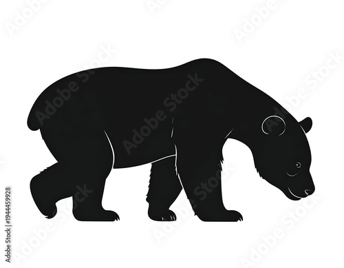 Silhouette of a Black Bear Walking with Head Down, Isolated on White Background.