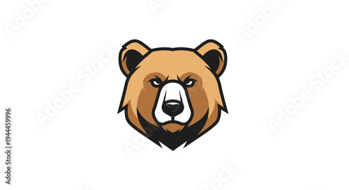 Brown bear head illustration closeup.