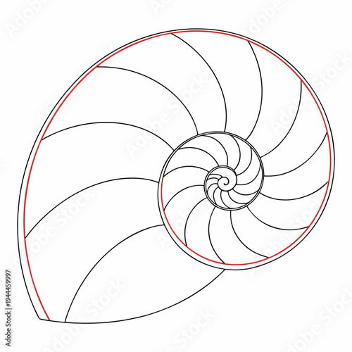 Nautilus Shell with Red Outline spiral black lines