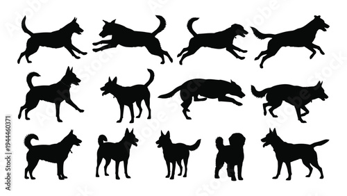 Collection of diverse dog silhouettes in various poses and breeds