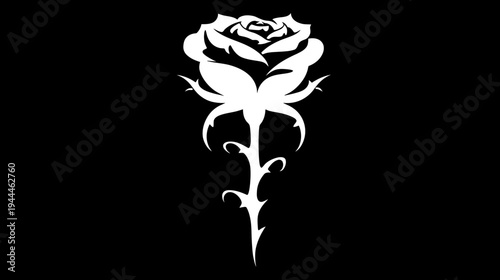 Elegant white rose silhouette with sharp thorns on a deep black background. Minimalist graphic design featuring a stylized flower vector.