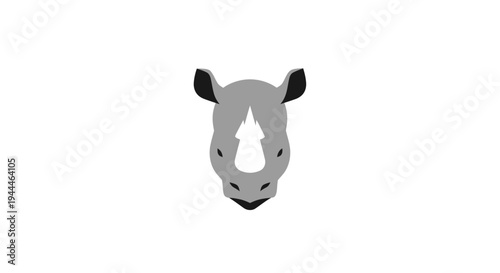 Close up of rhino head.