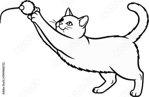 Playful feline reaches for a fuzzy toy, with tail up in excitement