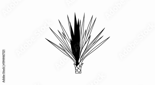 Minimalist line art drawing of a spiky plant with a textured trunk