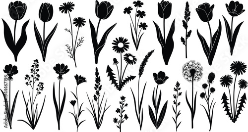 Large collection of wild flower silhouettes including tulips daisies dandelions and grass stems black floral botanical elements isolated on white background vector illustration.