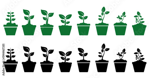 Vector Icon of Potted Plant Growth Stages, Environmental Care Concept
