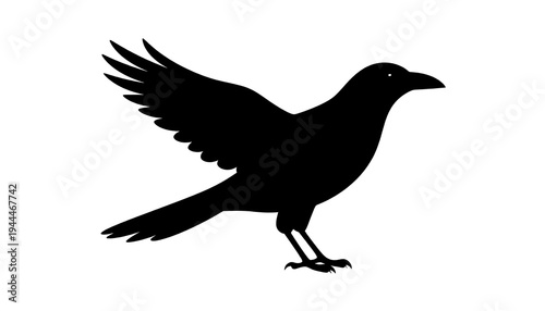Silhouette of a Crow in Flight - A Symbol of Mystery and Intelligence.
