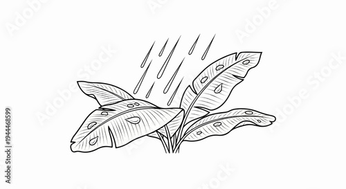A hand-drawn illustration of lush green leaves being showered by falling raindrops