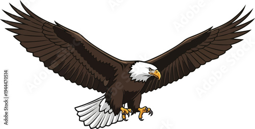 A majestic bald eagle with spread wings in flight, depicted against a white background