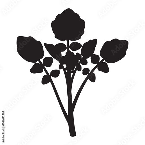 Watercress plant, fresh healthy green leafy vegetable in silhouette. black vector illustration of organic ingredient for salads. nutritious herb