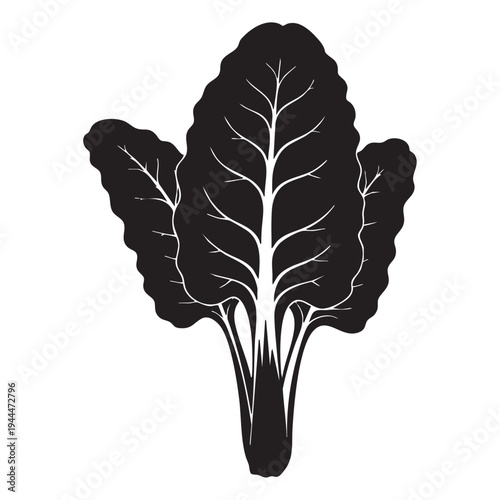 Black silhouette of leafy greens like swiss chard or kale plant with detailed veins, isolated on white background vector illustration for healthy food or vegan concept