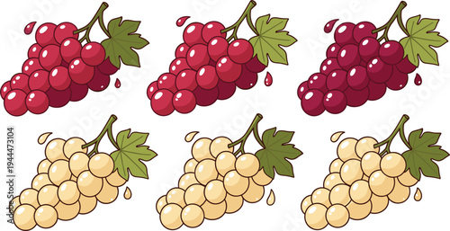 Red and white grape bunches with leaves juicy fruit cartoon vector illustration set