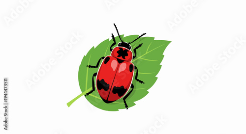 A red and black beetle with visible legs and antennae rests on a green leaf