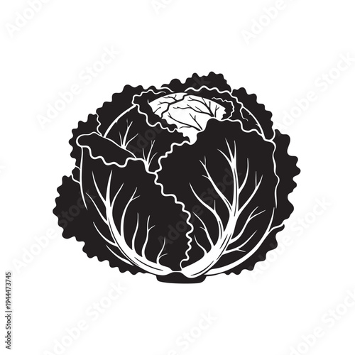 Cabbage head vegetable silhouette isolated on white background symbol of healthy eating and organic farming perfect for cooking related designs and grocery store marketing material vector illustration