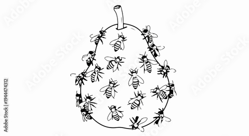 Numerous bees swarm around a round fruit with a stem on top