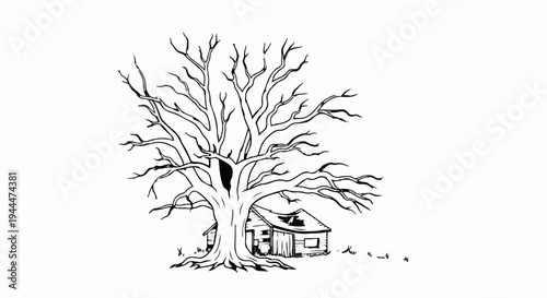 Old leafless tree shelters a dilapidated small wooden structure