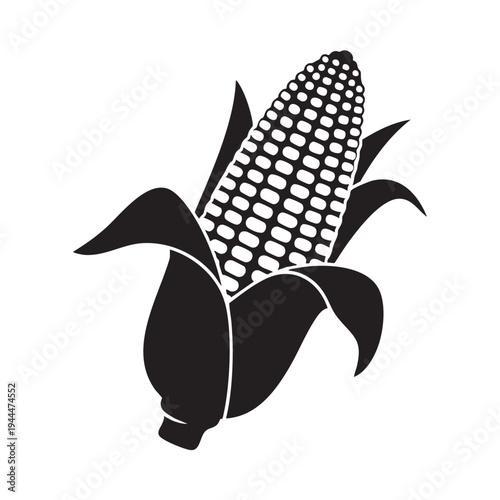 Corn cob vector illustration isolated on white background in simple flat style with husks partially peeled showing kernels natural organic vegetable produce