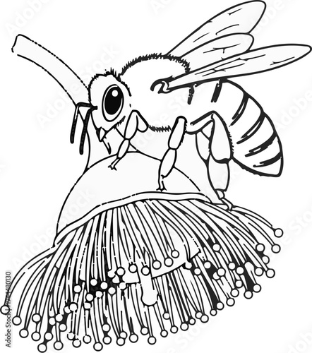 Line drawing of a bee perched on a fuzzy flower, collecting nectar