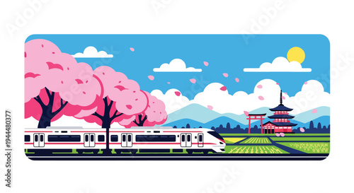 Modern vector illustration of Japanese cherry blossoms festival with train passing through blooming sakura trees and falling petals in countryside spring scene