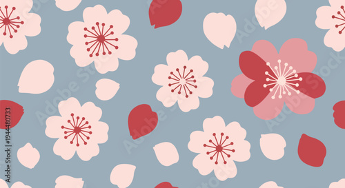 Modern vector illustration of Japanese cherry blossoms festival seamless pattern with sakura flowers and petals arranged in clean decorative spring style