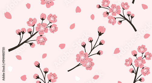 Modern vector illustration of Japanese cherry blossoms festival seamless pattern with sakura flowers and petals arranged in clean decorative spring style