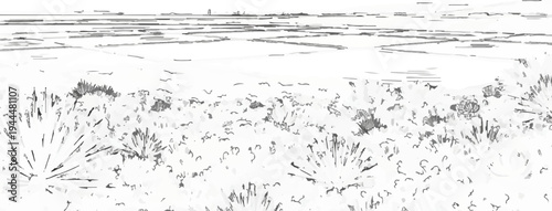 Line art sketch of a vast desert landscape with sparse vegetation