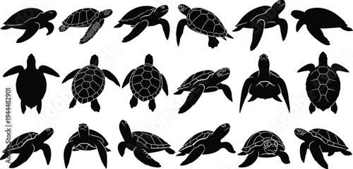 Collection of twenty black turtle silhouettes in various poses, arranged in a grid, isolated on white background, minimalist vector graphic