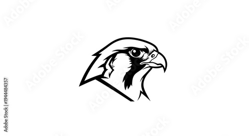 Strong Falcon Head Illustration, Black and White Raptor Mascot Graphic, Majestic Bird of Prey Outline Vector Art
