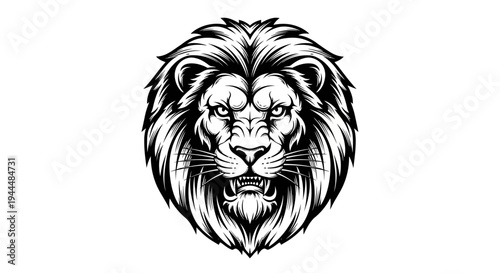 Fierce majestic lion head illustration, black and white graphic. Powerful king of the jungle face with roaring expression and flowing mane.