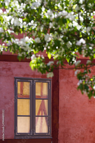 Houses in Helsingør in spring 2015