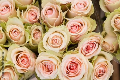 Flower market in Helsingør 2015