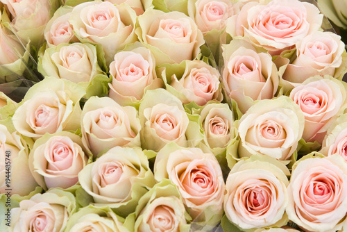 Flower market in Helsingør 2015