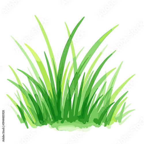 Vibrant green grass blades painted in watercolor style on a clean white background
